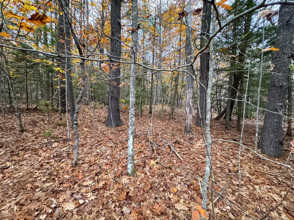 Lot 57b Dodge Road Dresden ME 04342