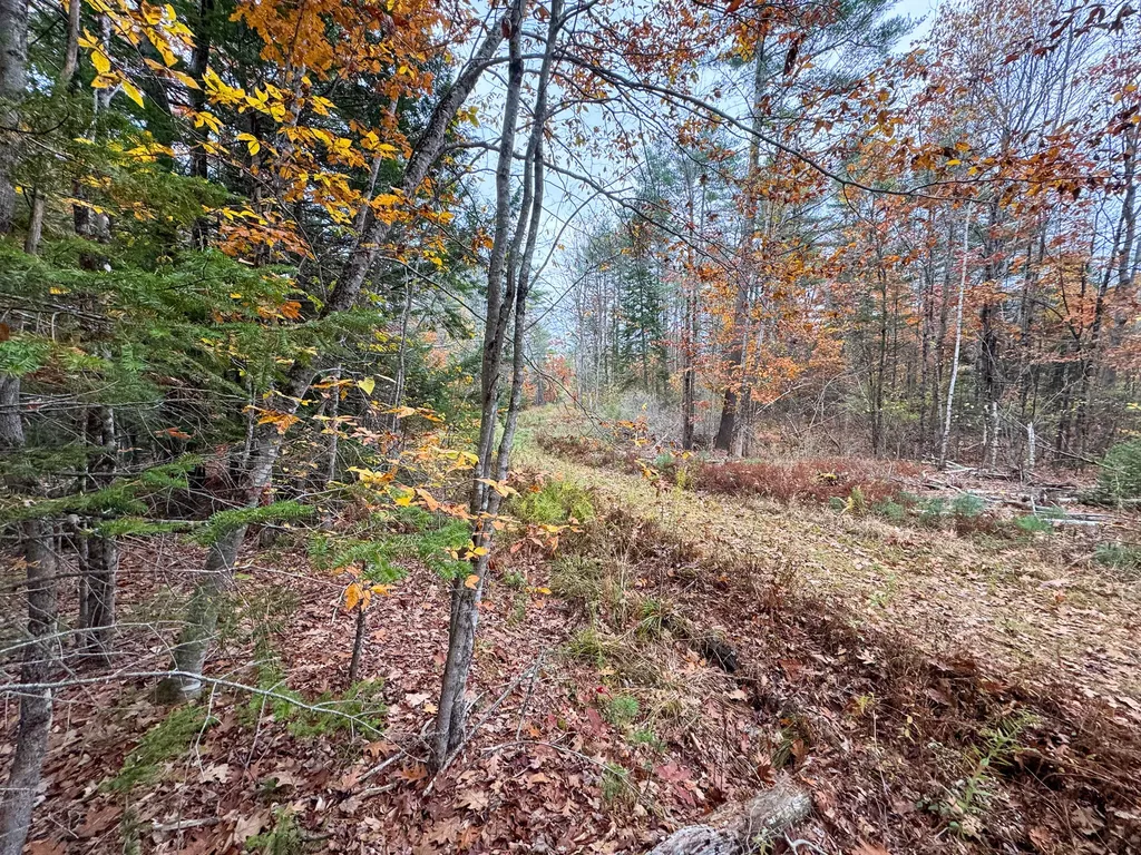 Lot 57b Dodge Road Dresden ME 04342