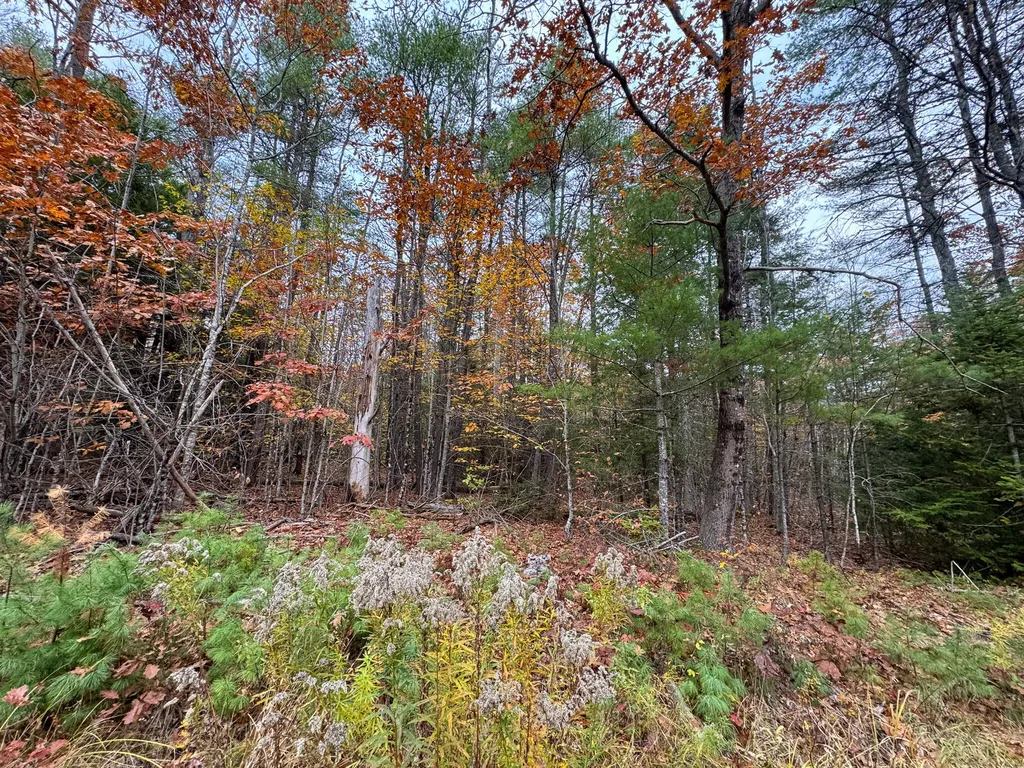 Lot 57b Dodge Road Dresden ME 04342