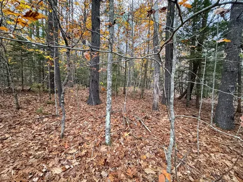 Lot 57b Dodge Road Dresden ME 04342