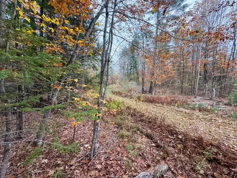 Lot 57b Dodge Road Dresden ME 04342