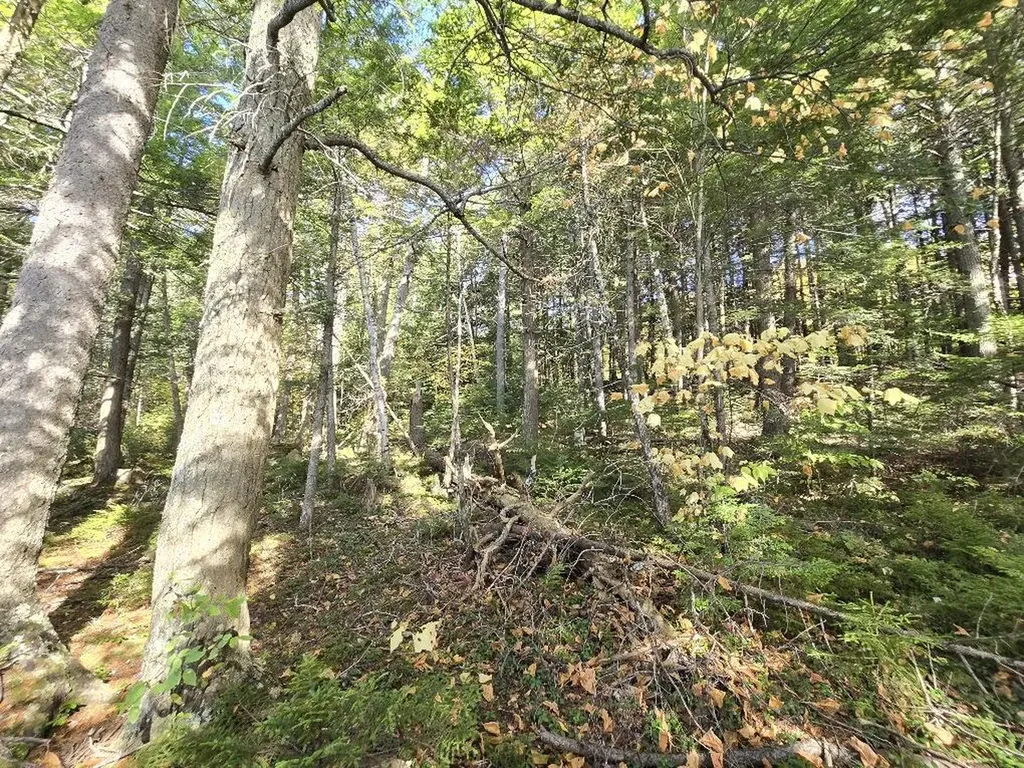 440 Railroad Bed Road Lake View Plt ME 04463