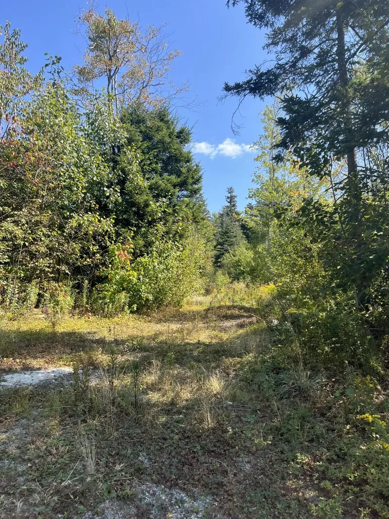 346 Main Street East Machias ME 04630