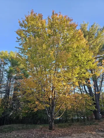 35 Hackett Road Winterport ME 04496