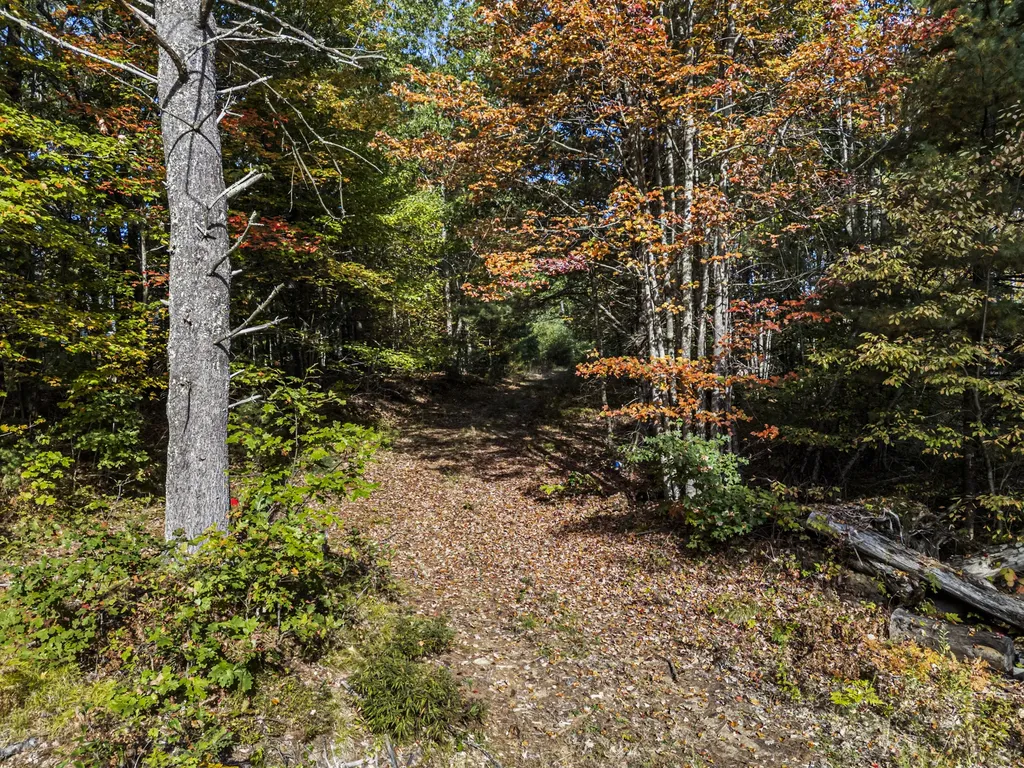 86 Moose Bog Lane Wells ME 04090