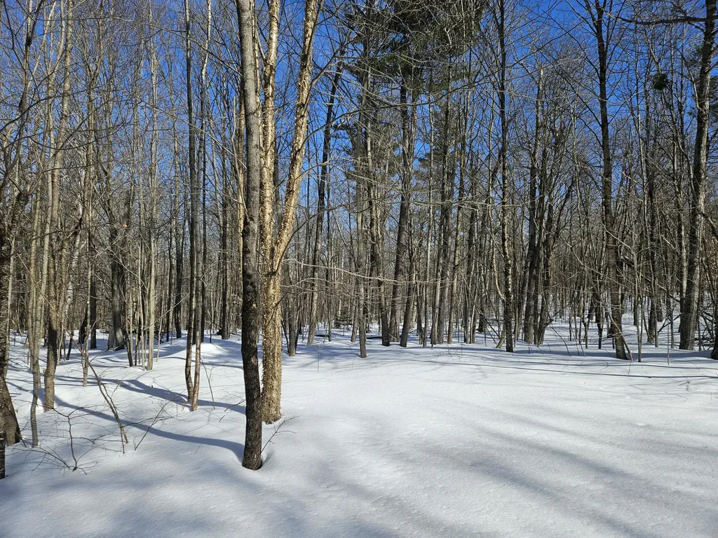 0 Canton Mountain Road Canton ME 04221