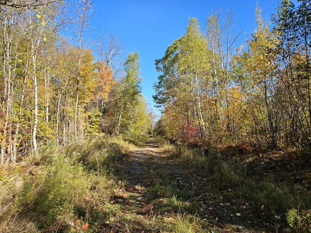 0 Canton Mountain Road Canton ME 04221
