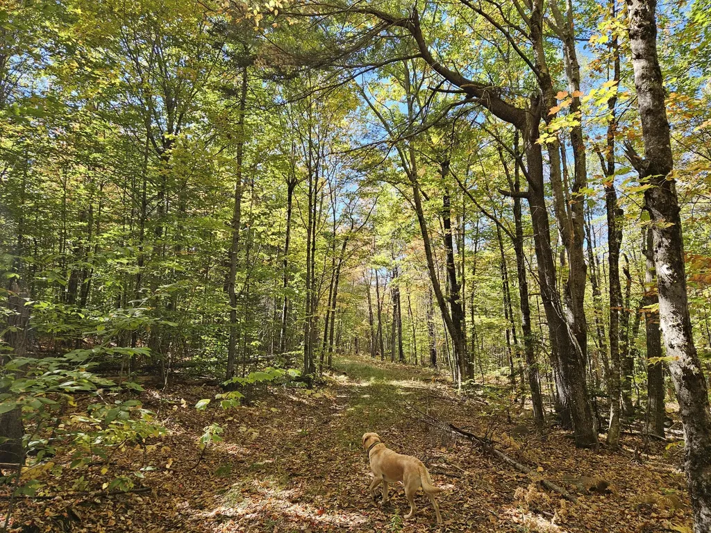 0 Canton Mountain Road Canton ME 04221