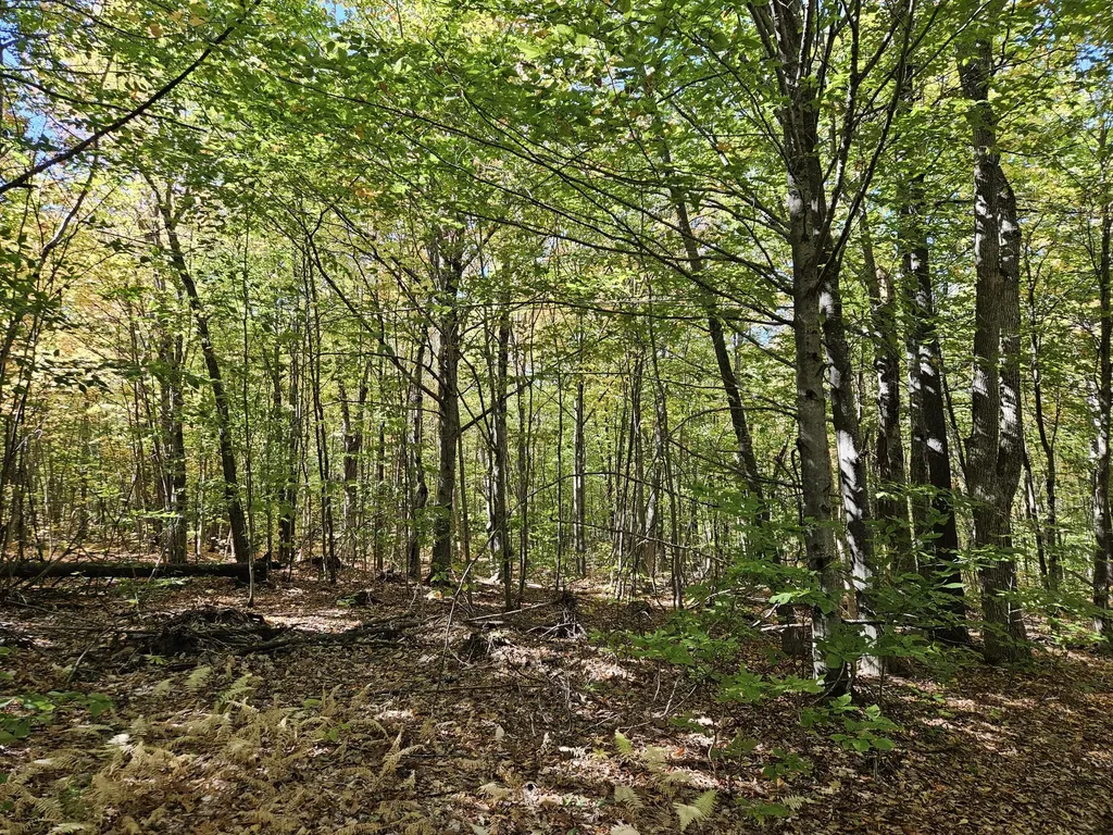 0 Canton Mountain Road Canton ME 04221