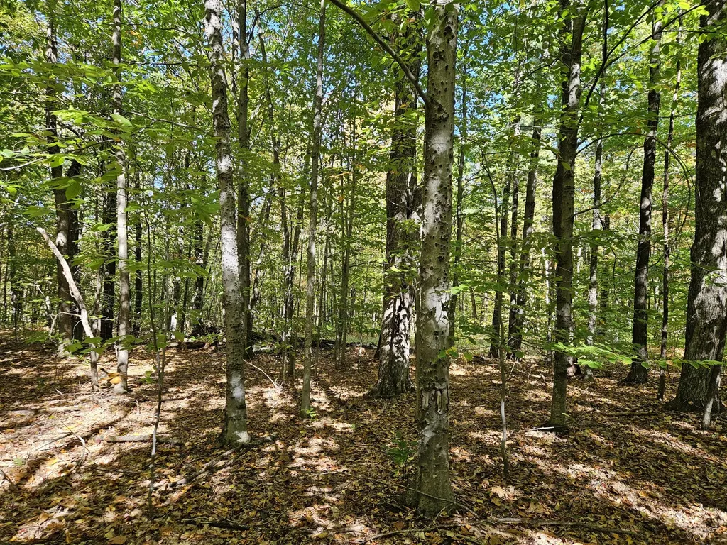 0 Canton Mountain Road Canton ME 04221