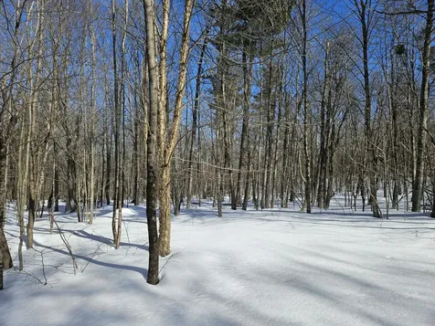 0 Canton Mountain Road Canton ME 04221