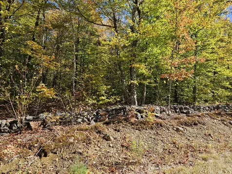 0 Canton Mountain Road Canton ME 04221