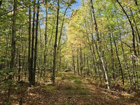 0 Canton Mountain Road Canton ME 04221