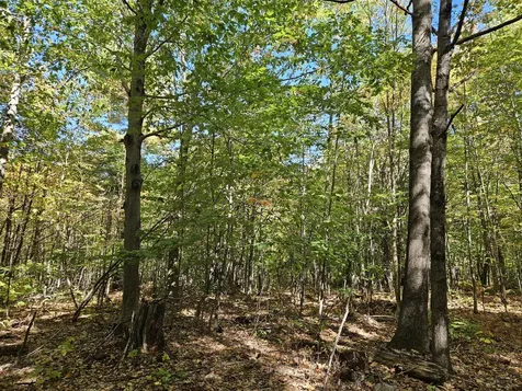 0 Canton Mountain Road Canton ME 04221