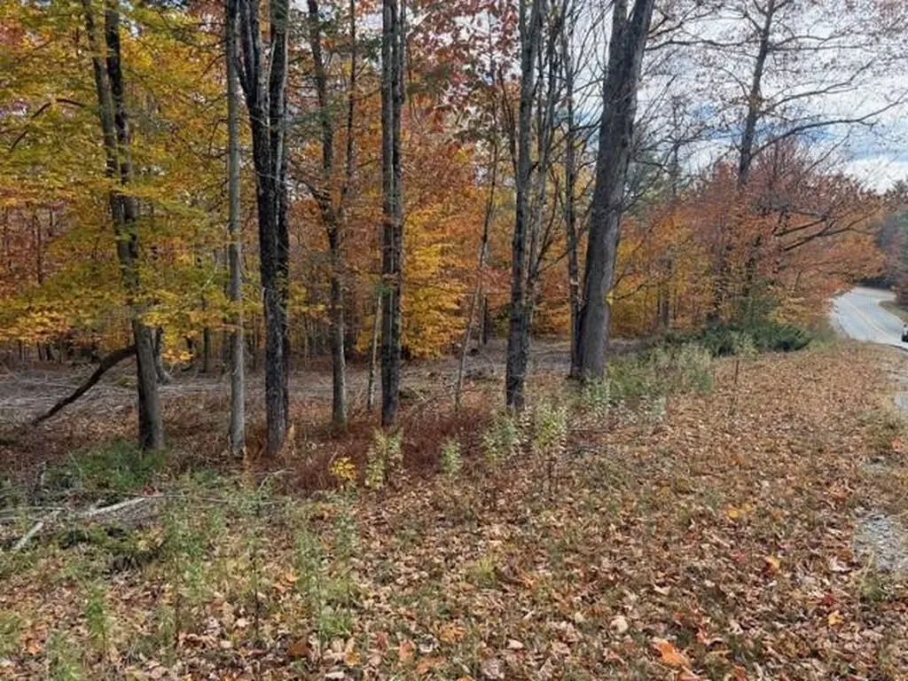 Lot 40-02 Litchfield Road Bowdoin ME 04287