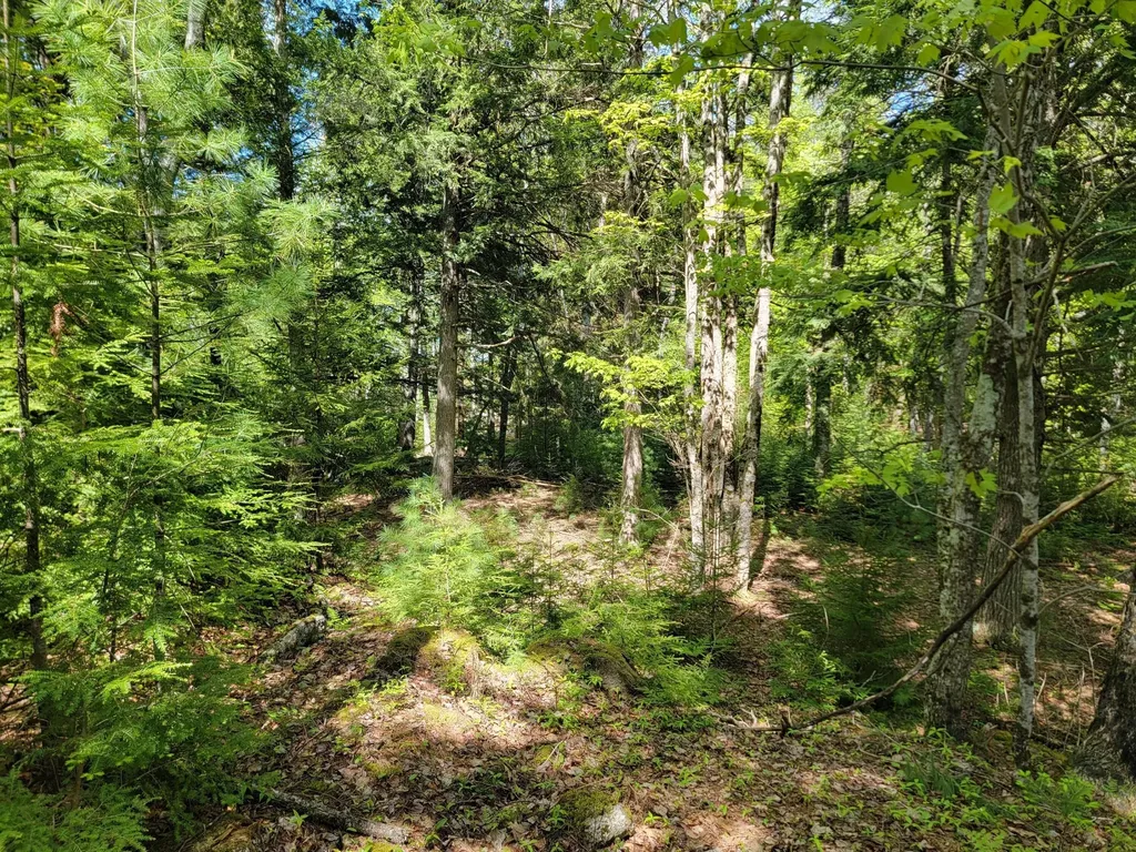 00 W Appleton Road Appleton ME 04862