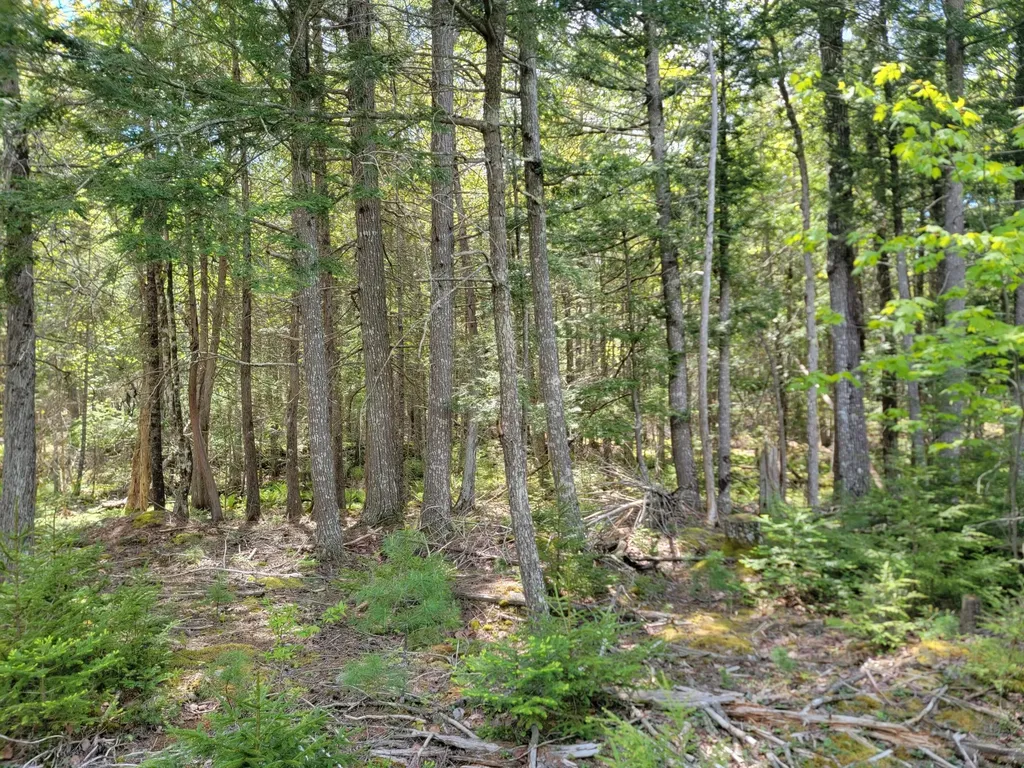 00 W Appleton Road Appleton ME 04862