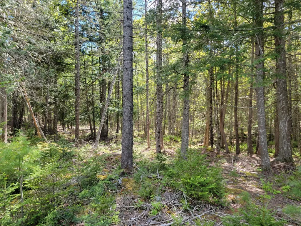 00 W Appleton Road Appleton ME 04862