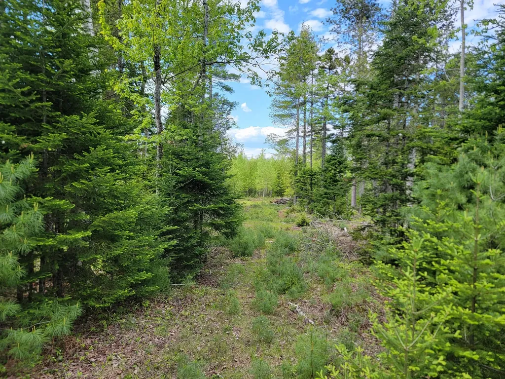 00 W Appleton Road Appleton ME 04862