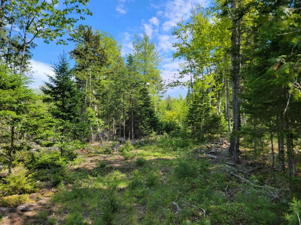 00 W Appleton Road Appleton ME 04862