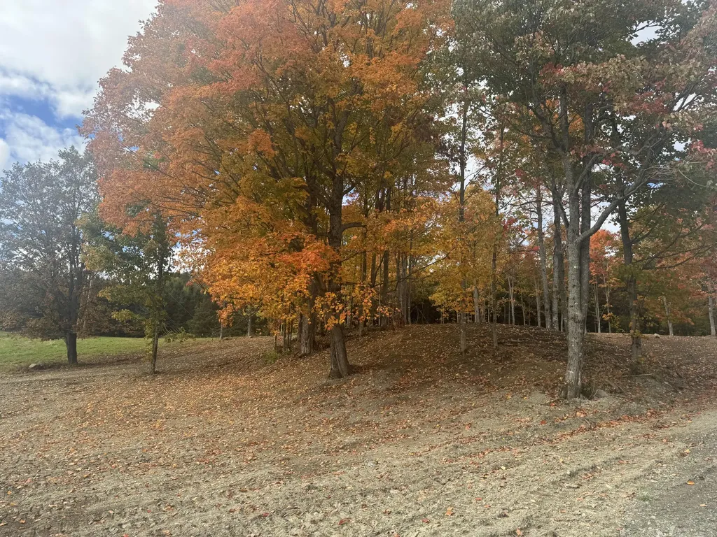 MAP2BLOT93 Fox Road New Canada ME 04743