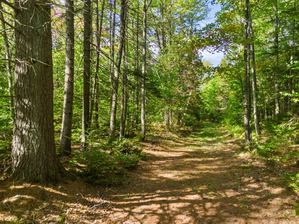 23 Clement Road Parkman ME 04443