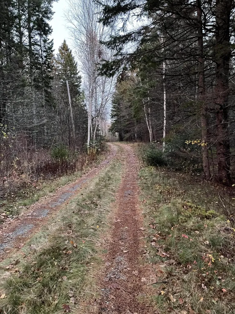 Lot 1-9 Lead Mine Road Lubec ME 04652