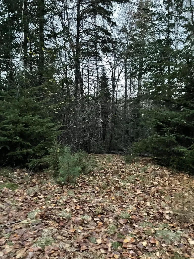 Lot 1-9 Lead Mine Road Lubec ME 04652