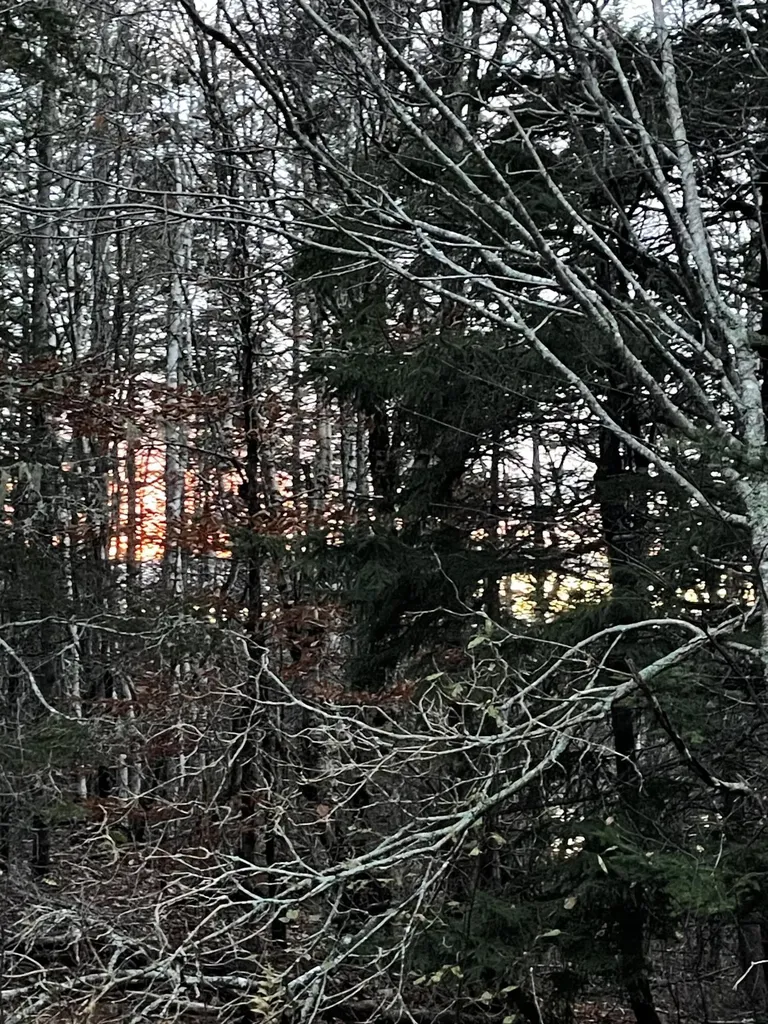 Lot 1-9 Lead Mine Road Lubec ME 04652