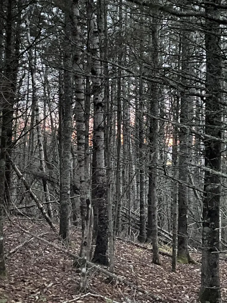 Lot 1-9 Lead Mine Road Lubec ME 04652