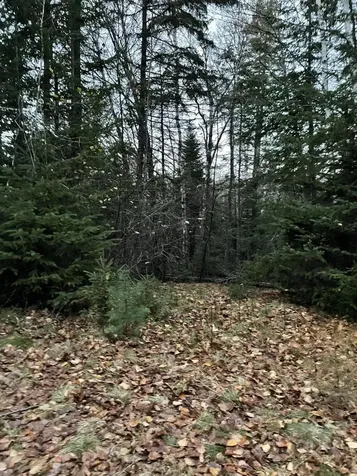 Lot 1-9 Lead Mine Road Lubec ME 04652