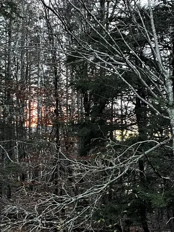 Lot 1-9 Lead Mine Road Lubec ME 04652