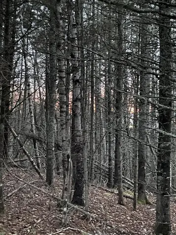 Lot 1-9 Lead Mine Road Lubec ME 04652