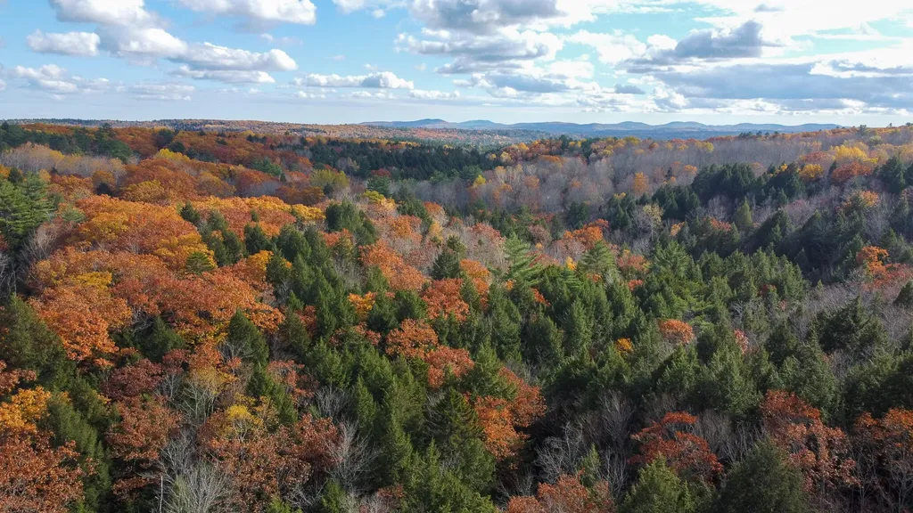 Lot 2 Darci Lane Montville ME 04941
