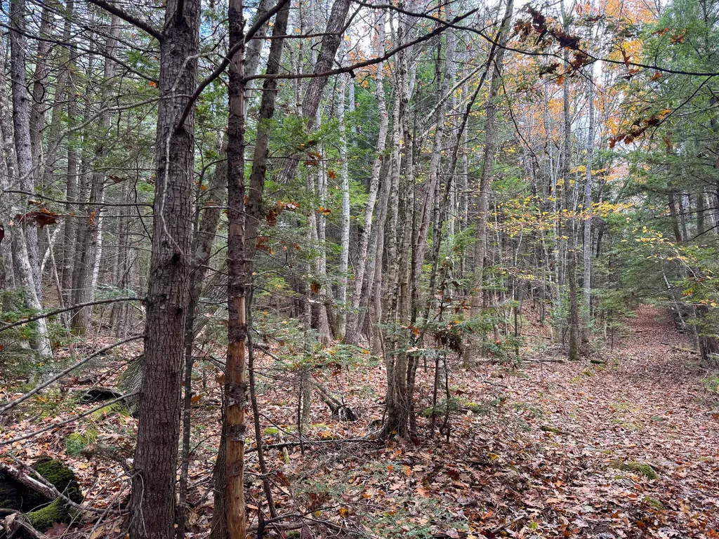 Lot 2 Darci Lane Montville ME 04941