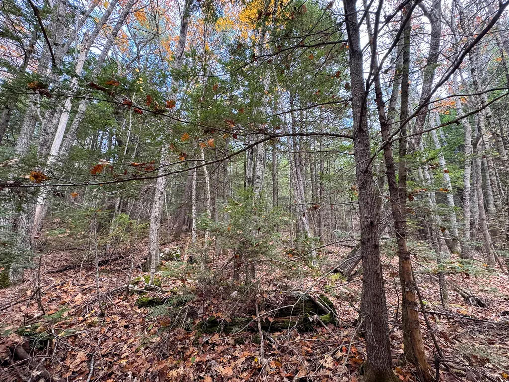 Lot 2 Darci Lane Montville ME 04941