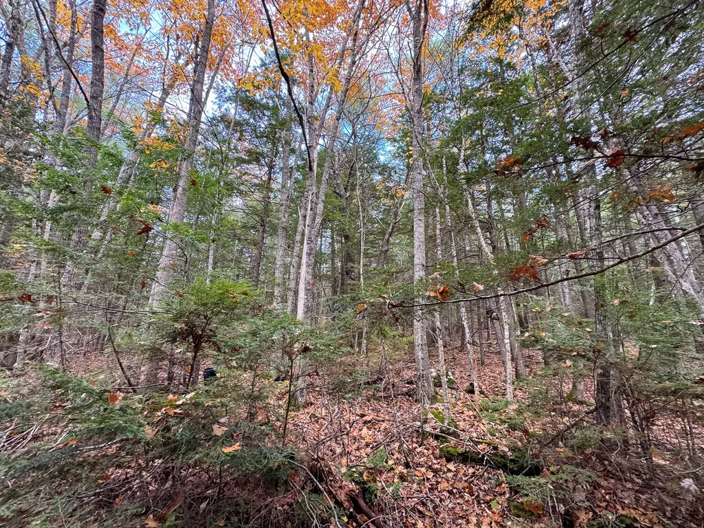 Lot 2 Darci Lane Montville ME 04941