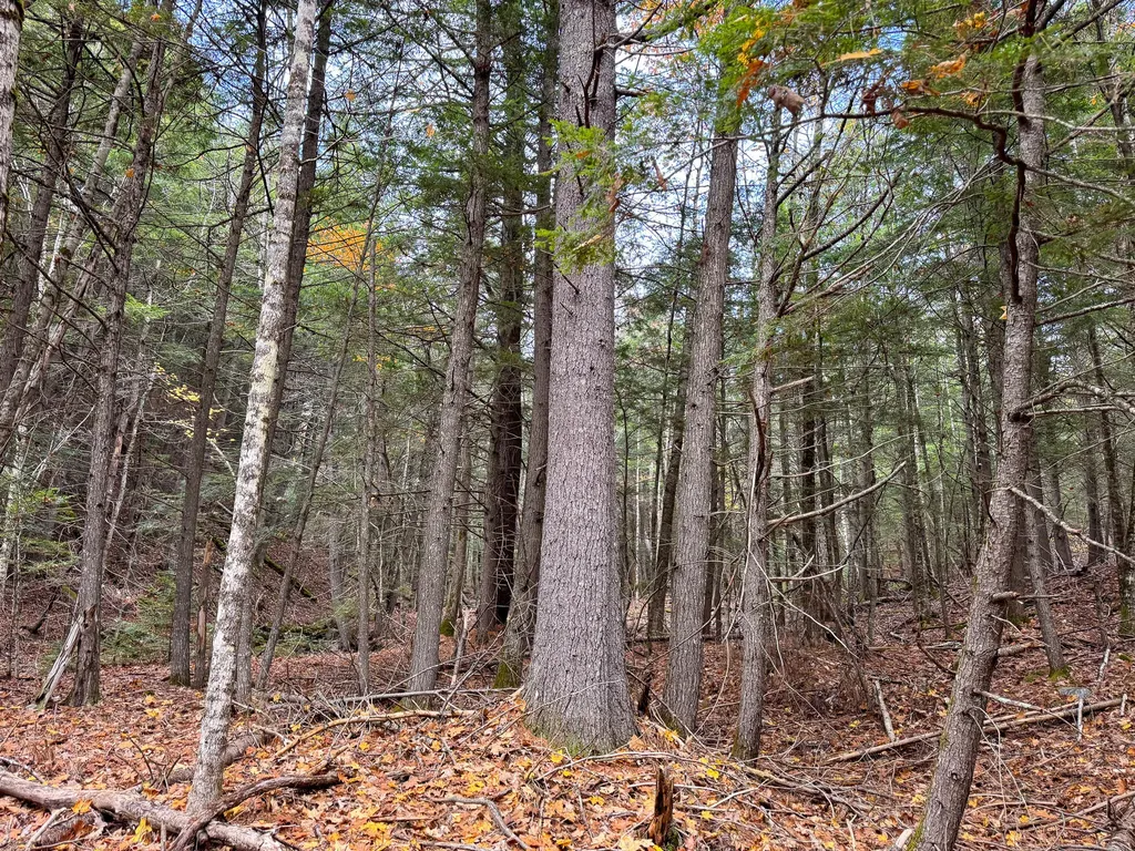 Lot 2 Darci Lane Montville ME 04941