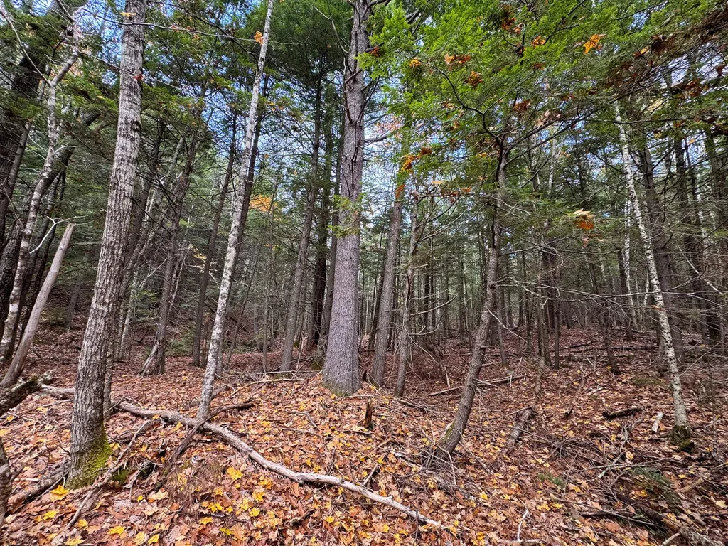 Lot 2 Darci Lane Montville ME 04941