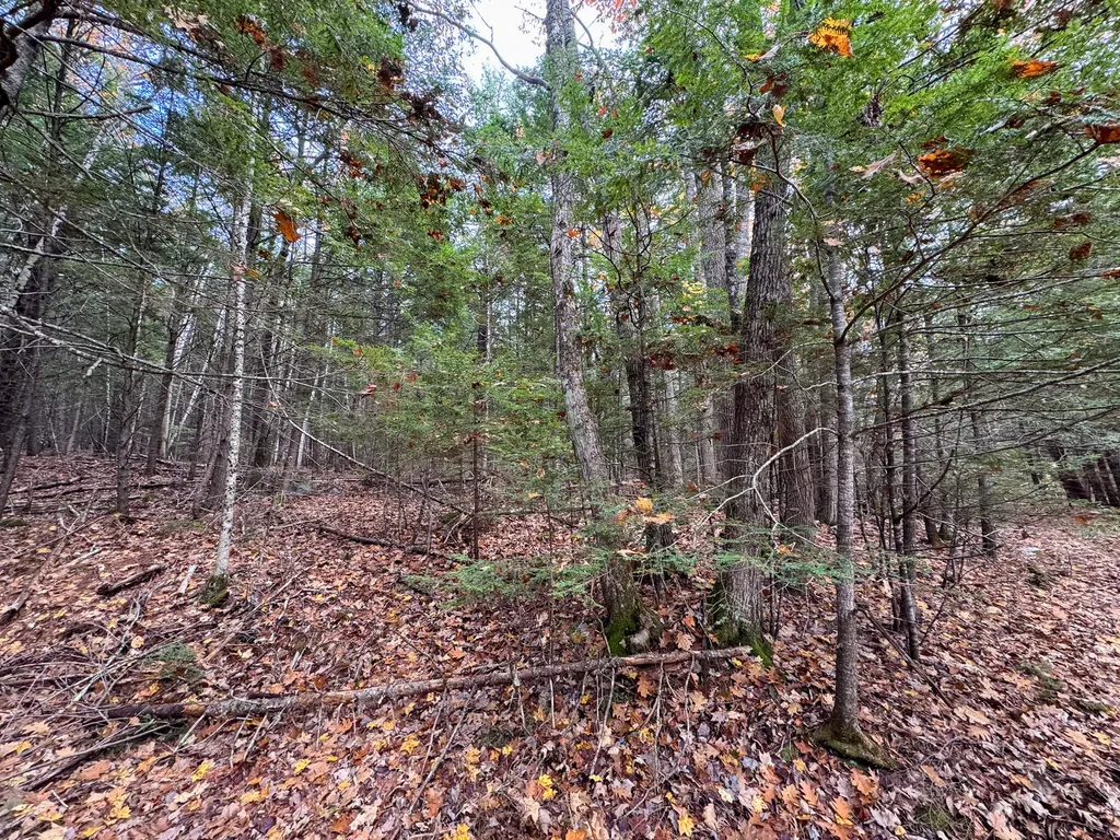 Lot 2 Darci Lane Montville ME 04941
