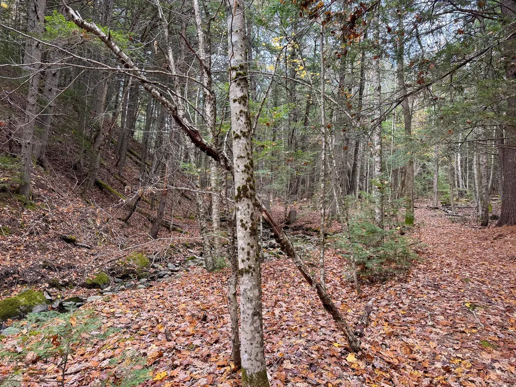 Lot 2 Darci Lane Montville ME 04941