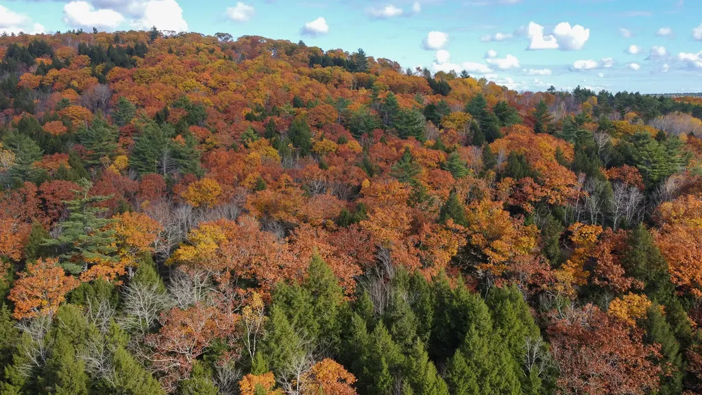 Lot 2 Darci Lane Montville ME 04941