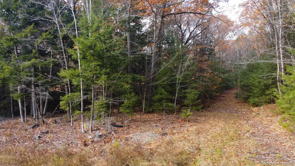 Lot 2 Darci Lane Montville ME 04941