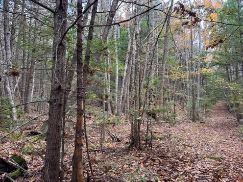 Lot 2 Darci Lane Montville ME 04941