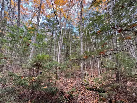 Lot 2 Darci Lane Montville ME 04941
