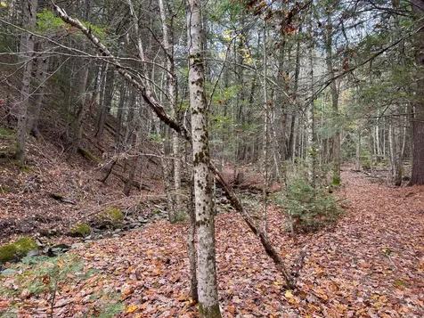 Lot 2 Darci Lane Montville ME 04941