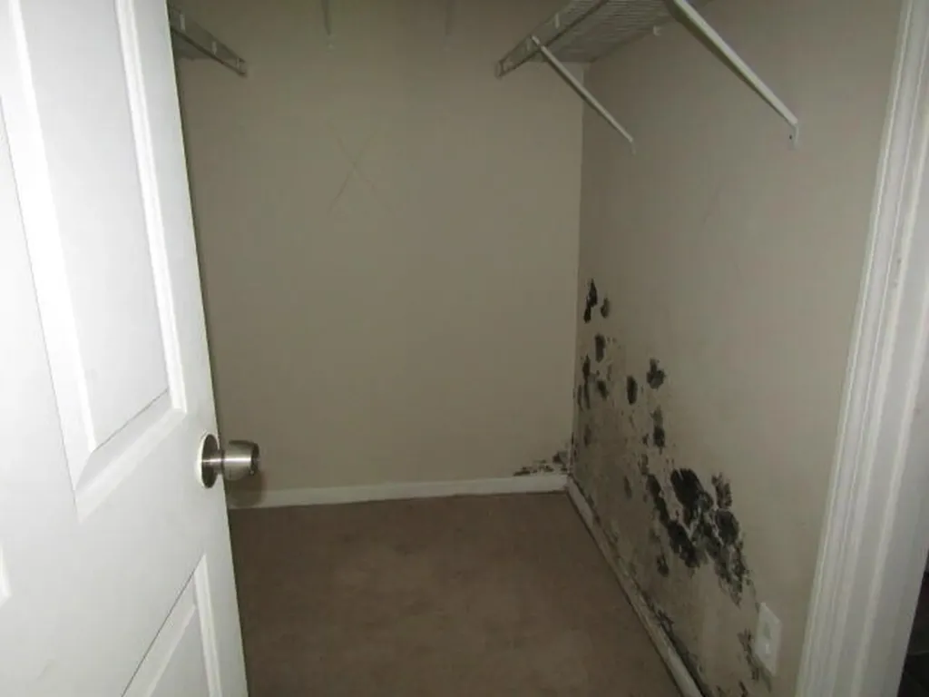55 Londonderry Lane Belfast ME 04915