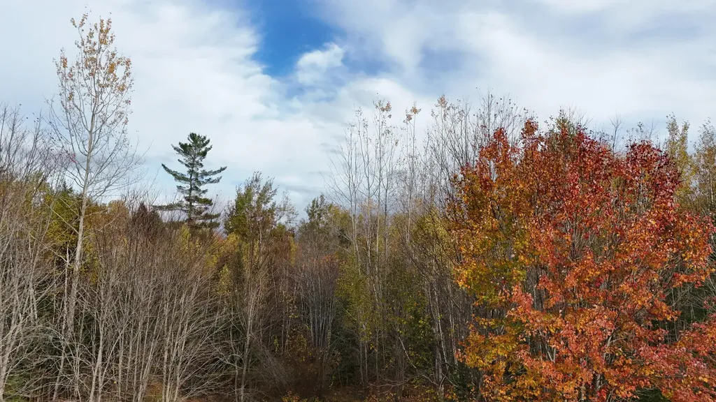 00 Babcock Road Newburgh ME 04444