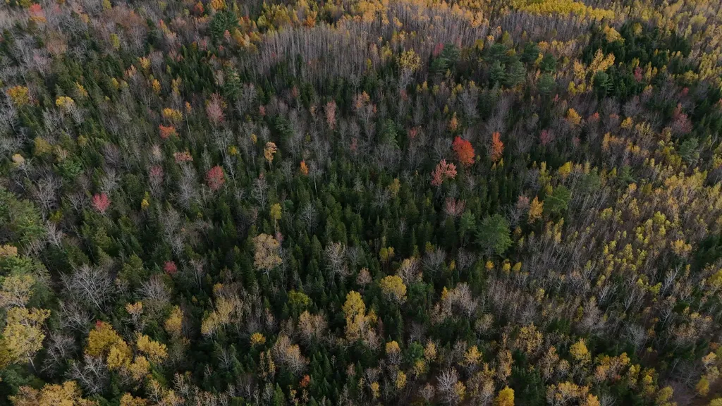 00 Babcock Road Newburgh ME 04444