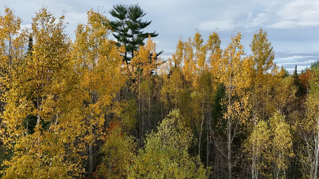 00 Babcock Road Newburgh ME 04444